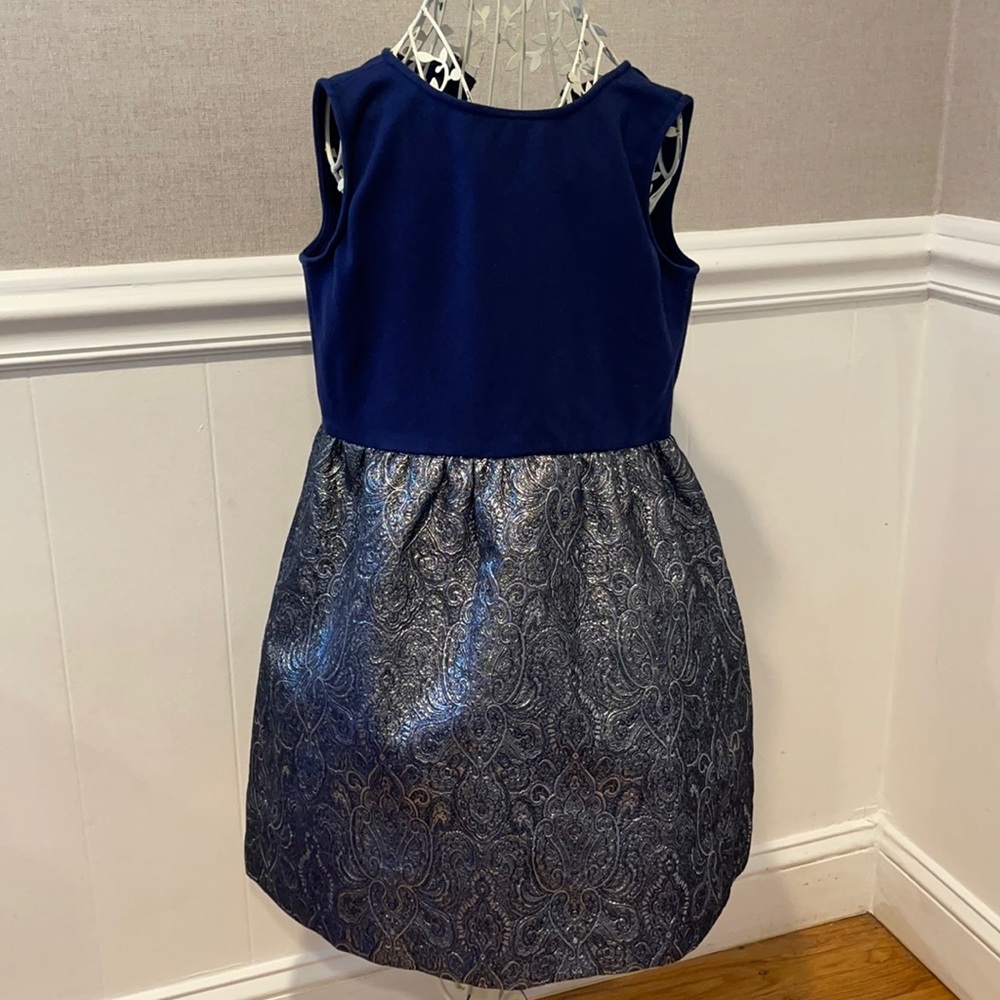 Crewcuts Navy Blue Dress